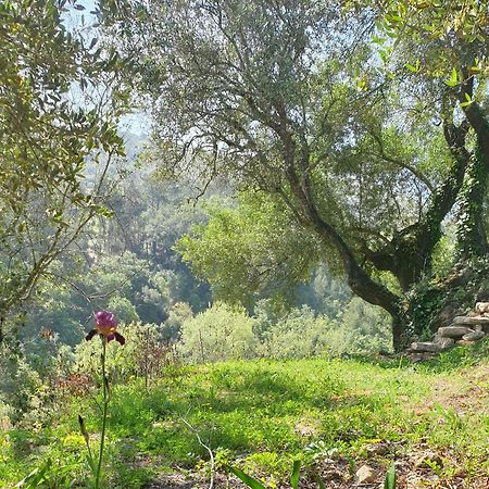 Casa Das Janelinhas - Cottage Near Sintra, Mafra, Ericeira ภายนอก รูปภาพ