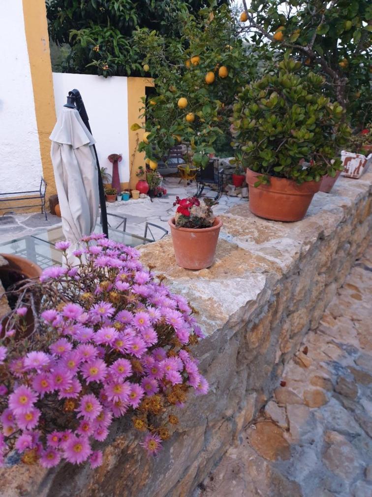 Casa Das Janelinhas - Cottage Near Sintra, Mafra, Ericeira ภายนอก รูปภาพ