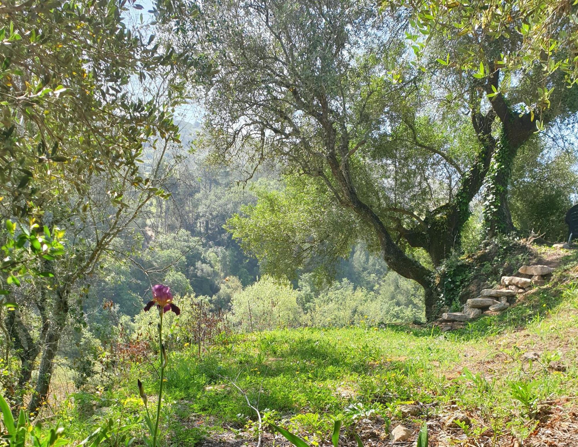 Casa Das Janelinhas - Cottage Near Sintra, Mafra, Ericeira ภายนอก รูปภาพ