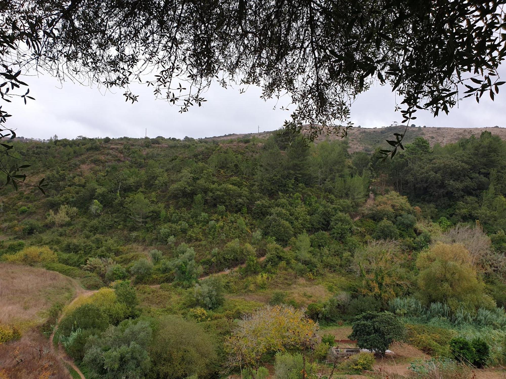 Casa Das Janelinhas - Cottage Near Sintra, Mafra, Ericeira ภายนอก รูปภาพ